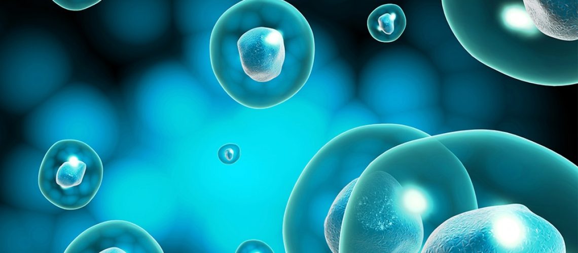 Computerised image of Stem Cells